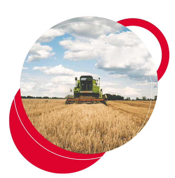 fondo-innovazione-agricola fondo-innovazione-agricola